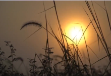 利士策分享，应该如何感受生活的美好-利士策软件官方网站