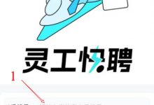 给大家分享一个灵活用工平台即“灵工快聘”-利士策软件官方网站